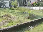 21 cent square plot