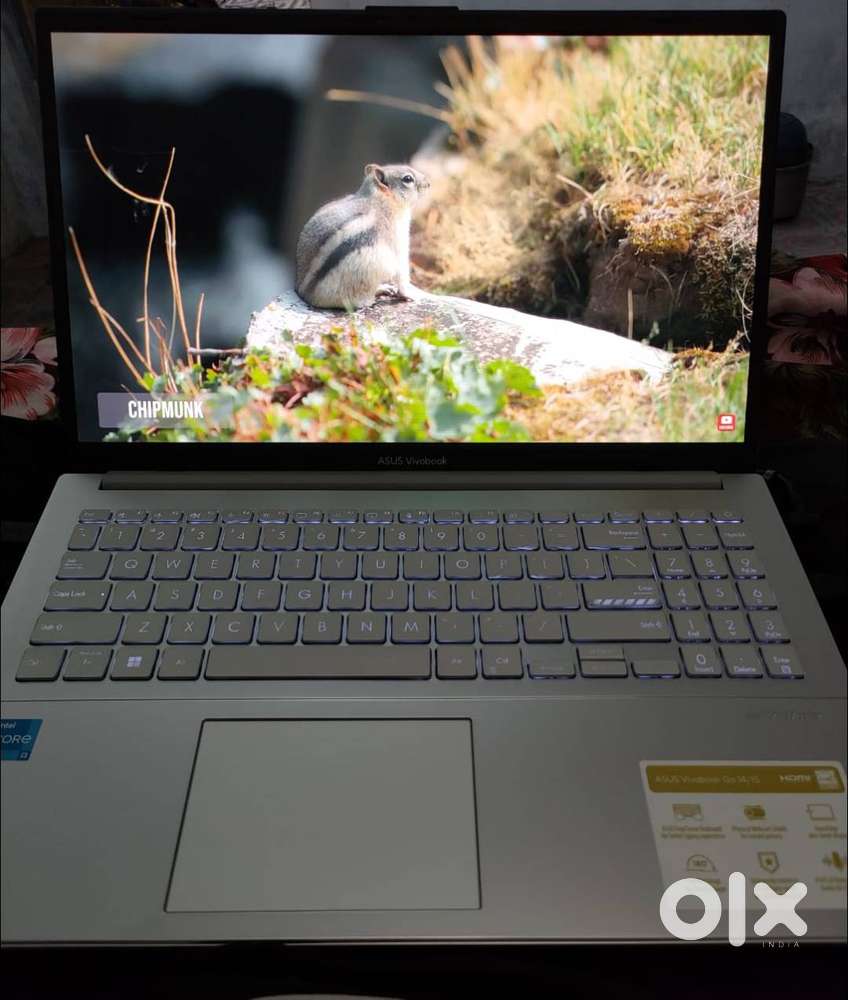 ASUS Vivobook Go OLED  Intel Core i3 12th Gen  8GB RAM  512GB SSD