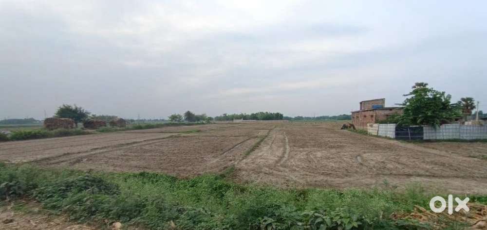 5 bigha plot on sale