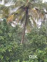 28 cent roadside thaikadappuram