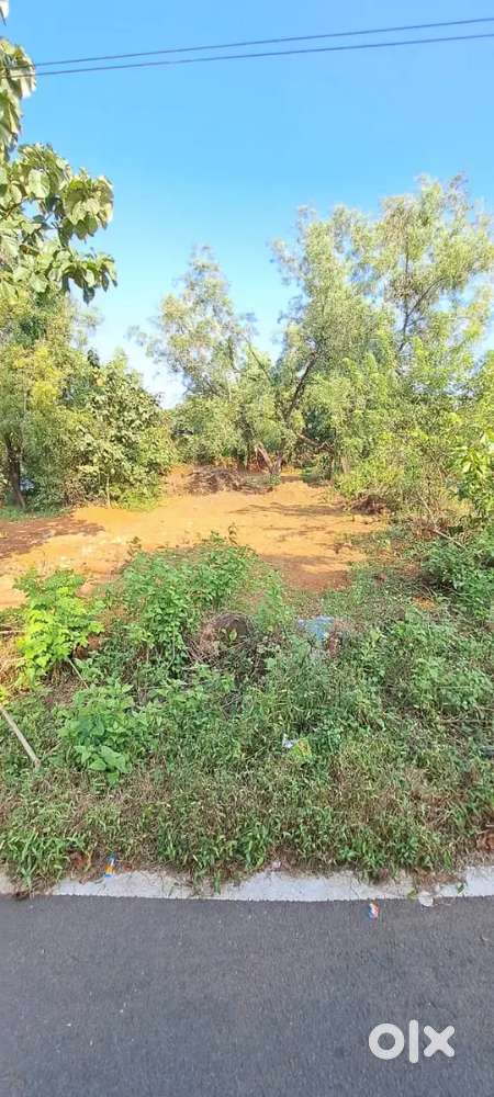 Plot sor sale 8000sqmt