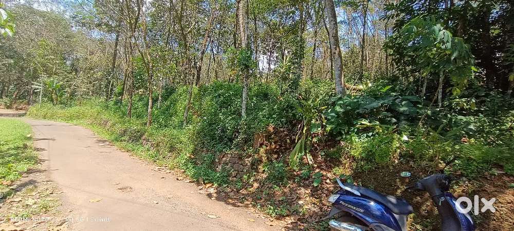 Plot for house construction