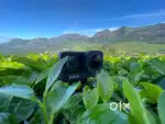 Insta 360 X2