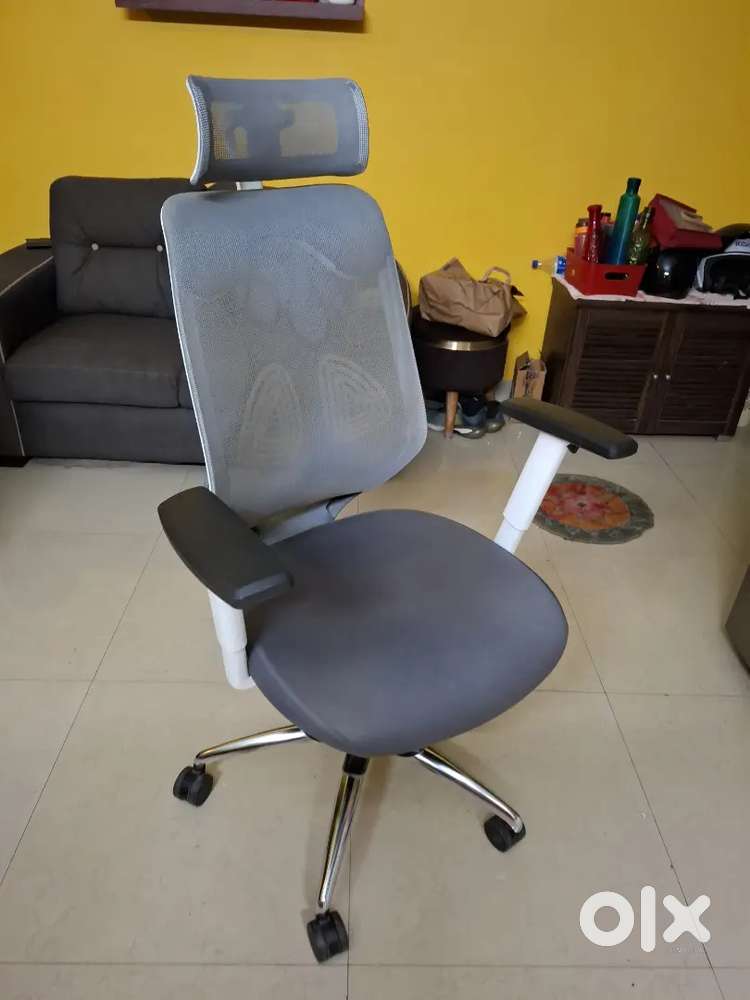 1 year old Office Chair