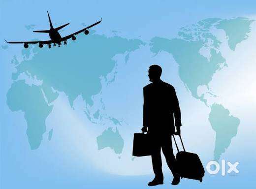 Hotel and Travel assistant