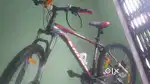 Kross globate 24 speed dual disc brake front shocker
