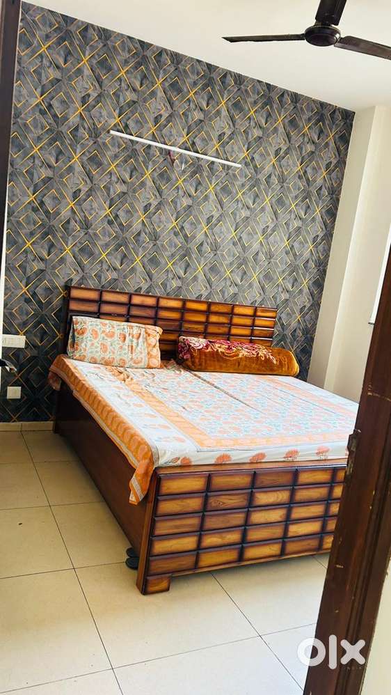 1 BHK Fully Furnished Owner Free Flat For Rent Sushma Grande
