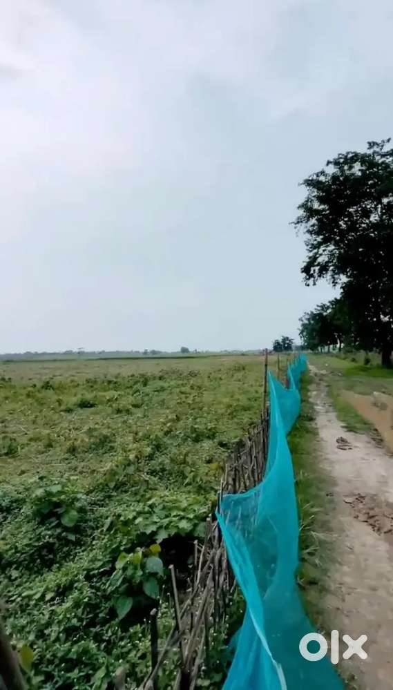 4 Bigha at 16 Lakh near Semi conductor project