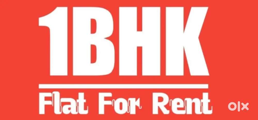 1BHK pent House Peace full colony with car parking