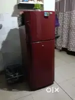 240 Lt Fridge