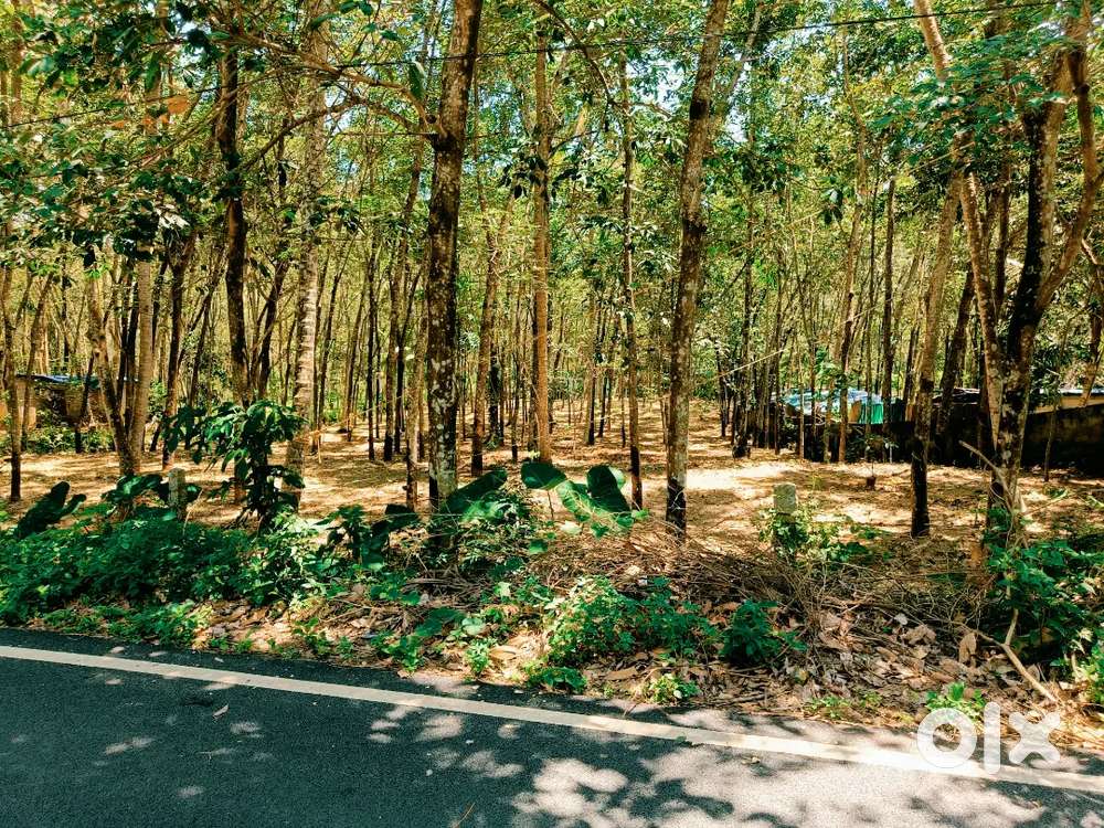 Residential Plot for Sale, Min 5 Cent Max 10 Cents in Puthucode,629177