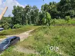 30 cent land for sale at Vettithara near Maneed, Ernakulam Distt.