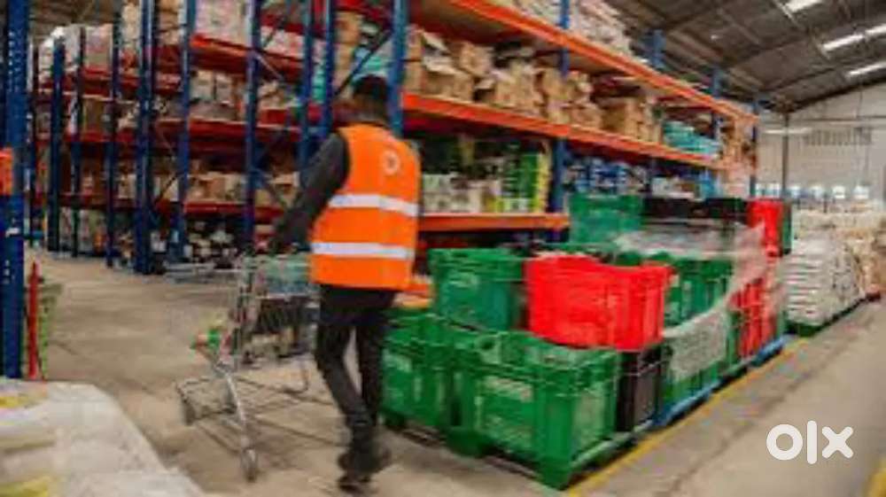 .Warehouse & Supply Chain Job  ₹20,000 + Free Food & Stay