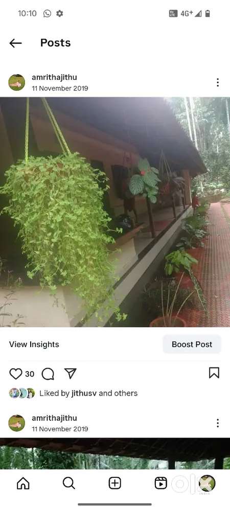 Home for rent