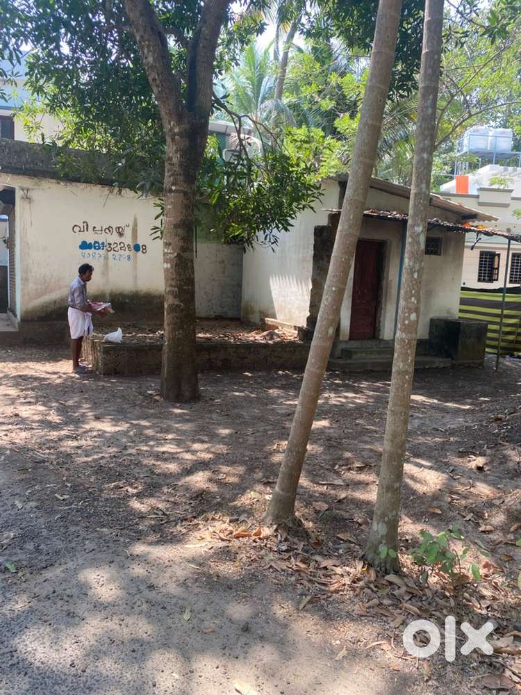 5.600 cent plot for sale