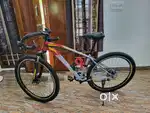 Cosmic Hulk MTB,Brand new