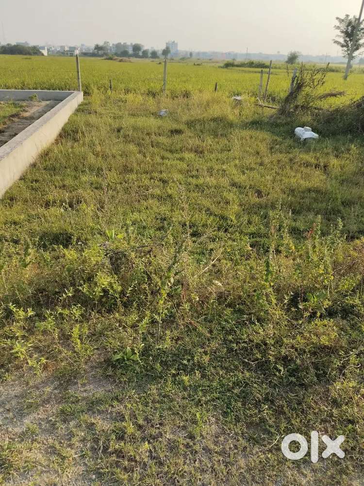 kanishi , tahashil office road, front of Vishal iti college plot sale