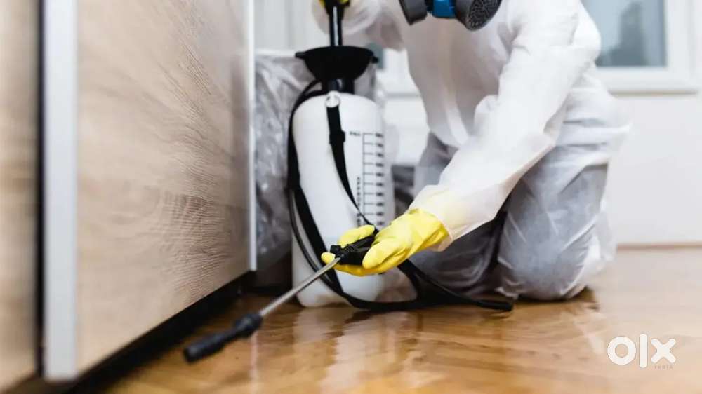 Residance pest control, comercial pest control