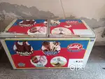 Blue star freezer