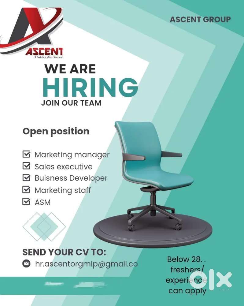 business developer and team leader