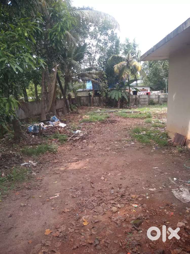 9 cent plot for rent