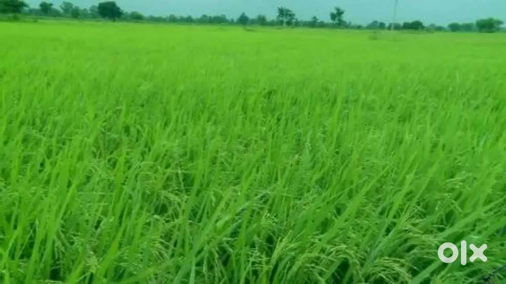 On haridwar highway towards COER college