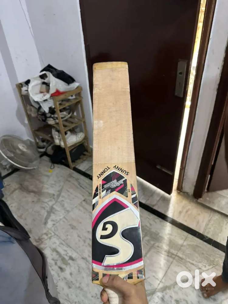 Sunny tunny english willow bat