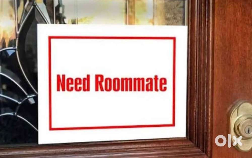 roommet need