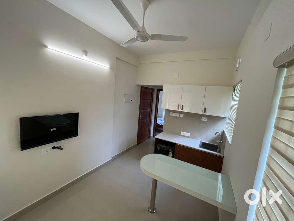 1 BHK fully furnished apartments : 6nos