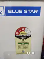 BLUE STAR DEEP REFRIGERATOR 2 DOORS 300L