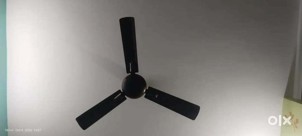 Good condition ceiling fan