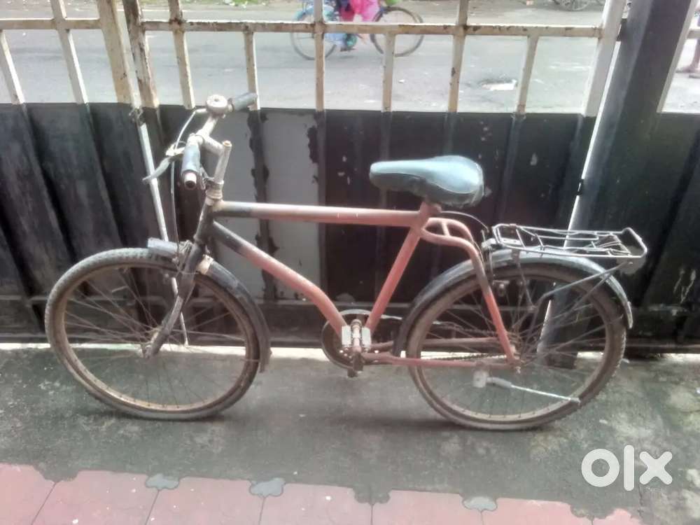Bicycle big size