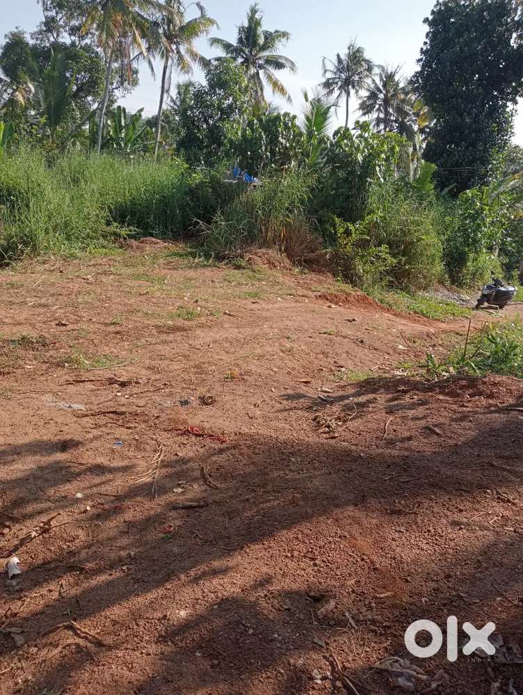 Plot for sale in powdikonam