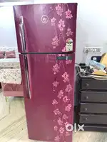 Godrej 290L Two Door Fridge