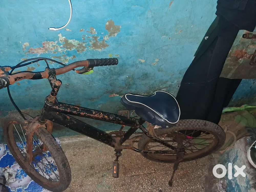 Streethawk Kids Bicycle in Blue colour