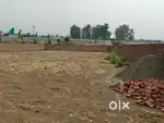 कल्याणपुर शिमला बाई पास रोड 1 बीघा जमीन
