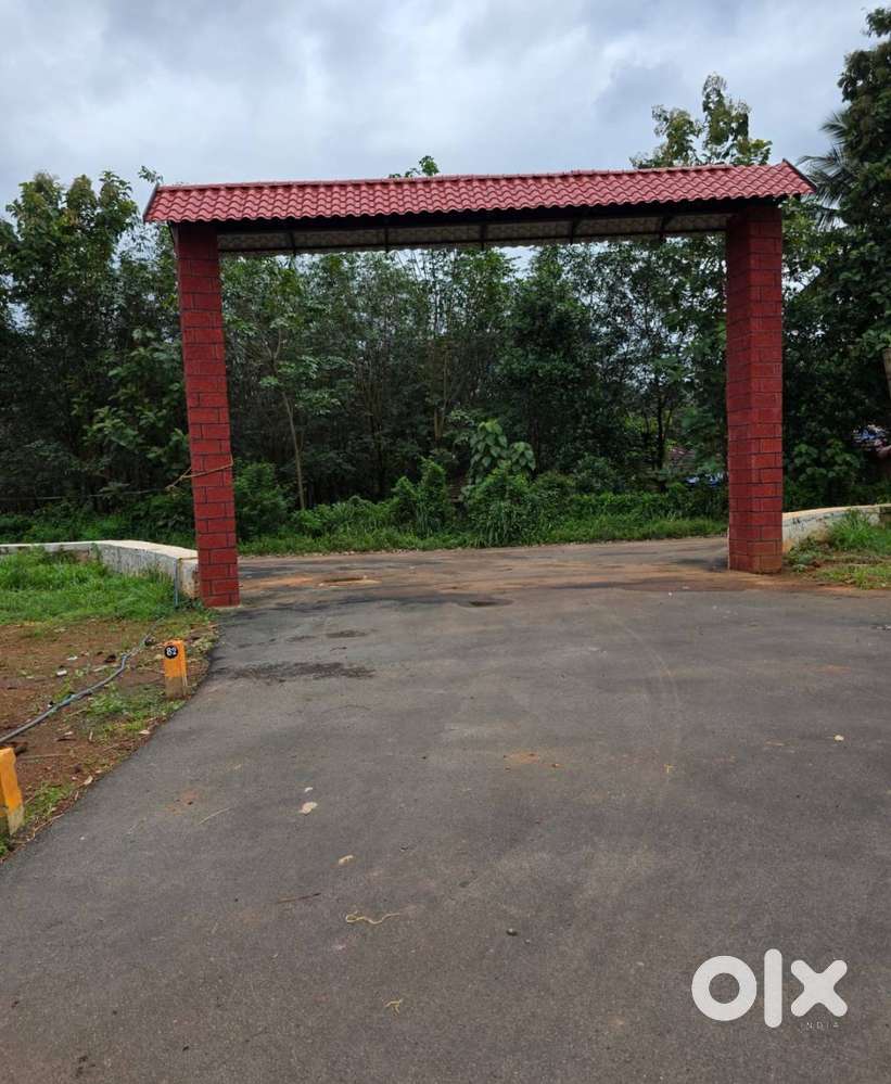 House plot in Mannarkkad for sale