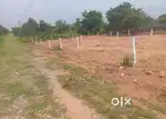 Ventures Suitable Land for Sale
Near Komkole LAND FOR SALE 3 ACRES