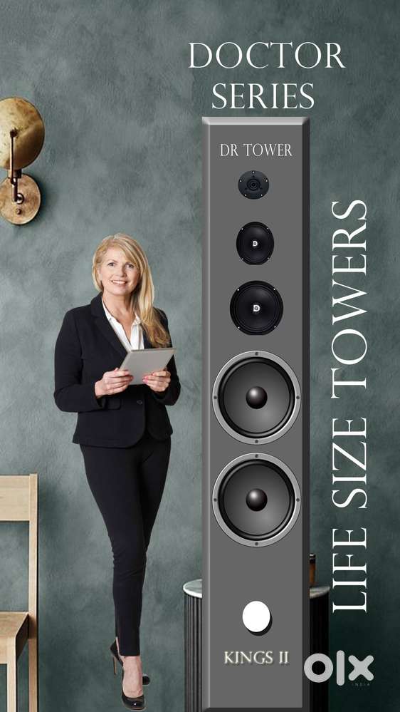 Designer Speakers  Towers  Subwoofers  Book Shelves