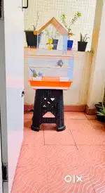 Bird Cage, 1 Live Bird, Breading Box And Few Other Item.