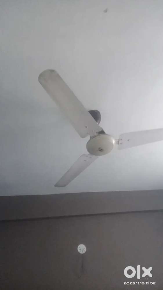 Fan for sale