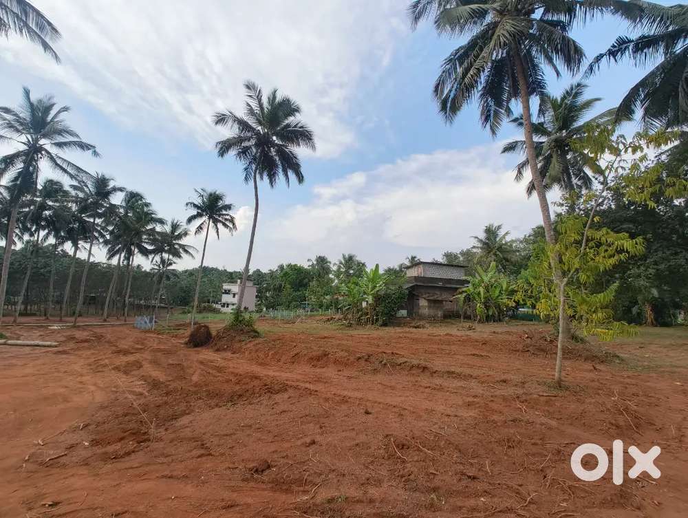 വടക്കഞ്ചേരിയിൽ മനോഹരമായ പ്ലോട്ട്കൾ വില്പനക്