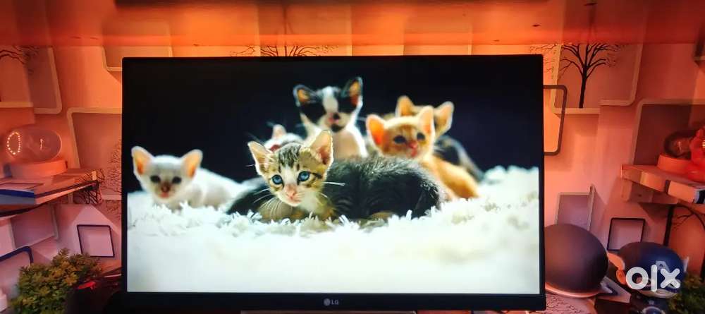 LG 21.5 Inches IPS Panel Gaming Monitor