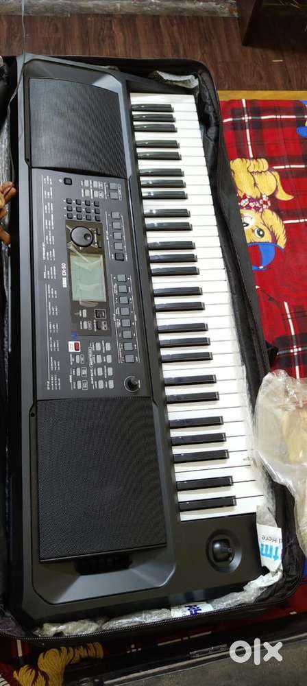 Benjo,Electric guitar,Casio
