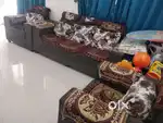$ BIG 2BHK FLAT AT OXY BLOSSOM, WAGHOLI AT 37 LACS ONLY. 1100SQFT.