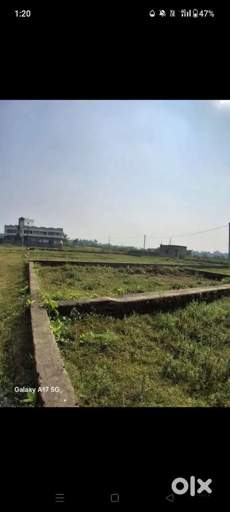 Urgent Selling my plot