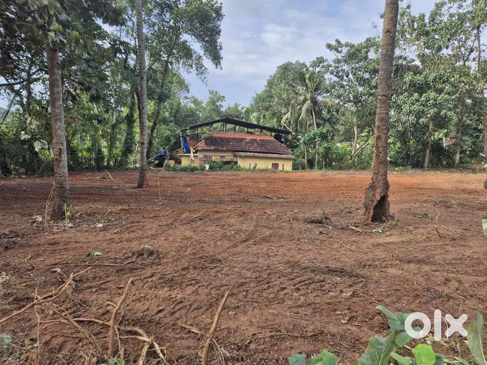 71 cents plot for sale. No flood threat. Good for residetial/godown