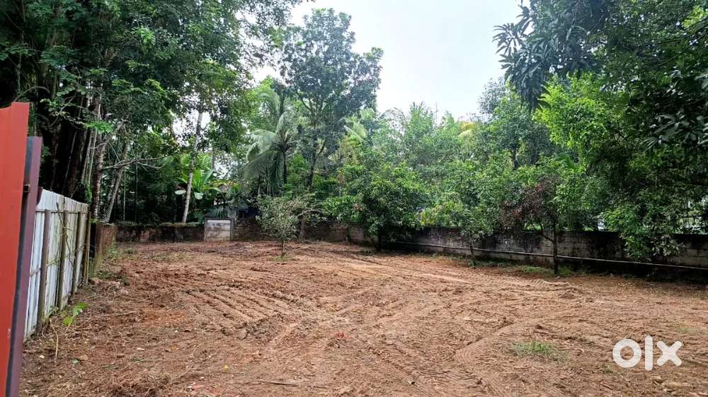 12 cent plot in narakkal(vadakke angandi)5 lakh/cent.price negotiable
