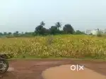 Bechna hai urgent