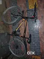 Streethawk